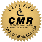 mold remediation services Clemmons, North Carolina