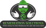 mold testing